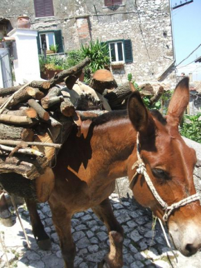 B&B Dell' Artista Artena